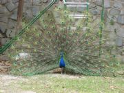 El Borge, M�laga